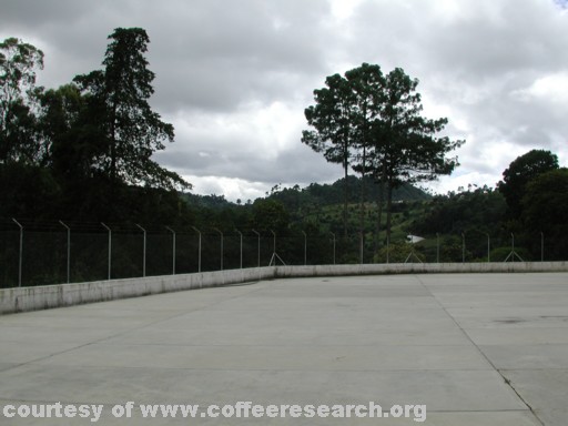 drying patios 12.jpg