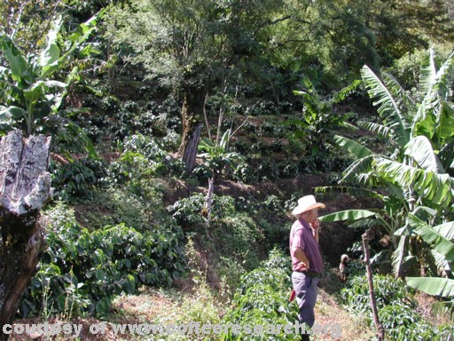 farm and farmer 1.jpg