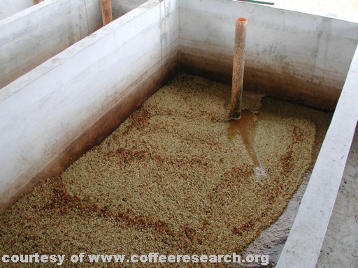 fermentation tanks 6.jpg