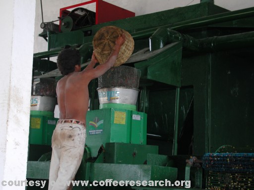 low water pulping machine 3.jpg