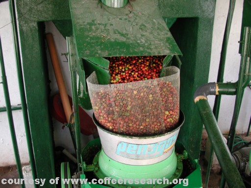 low water pulping machine 5.jpg