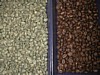 roasted and green coffee 2.jpg